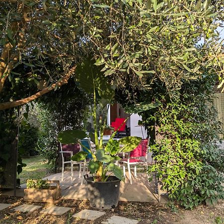 Villa La Maison Sous L'Olivier Morieres-les-Avignon Exterior foto